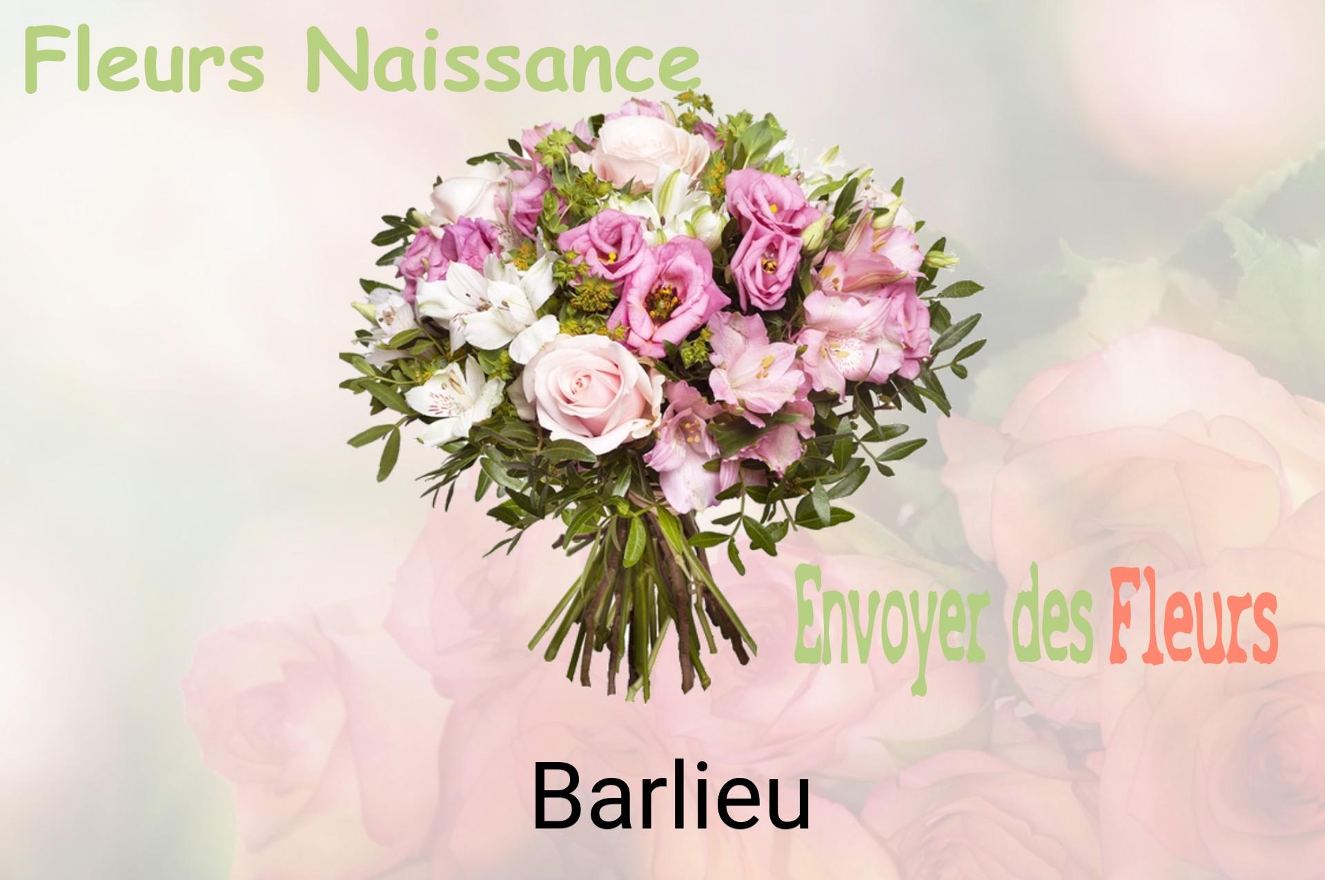 Bouquet de fleurs de naissance livré à Barlieu
