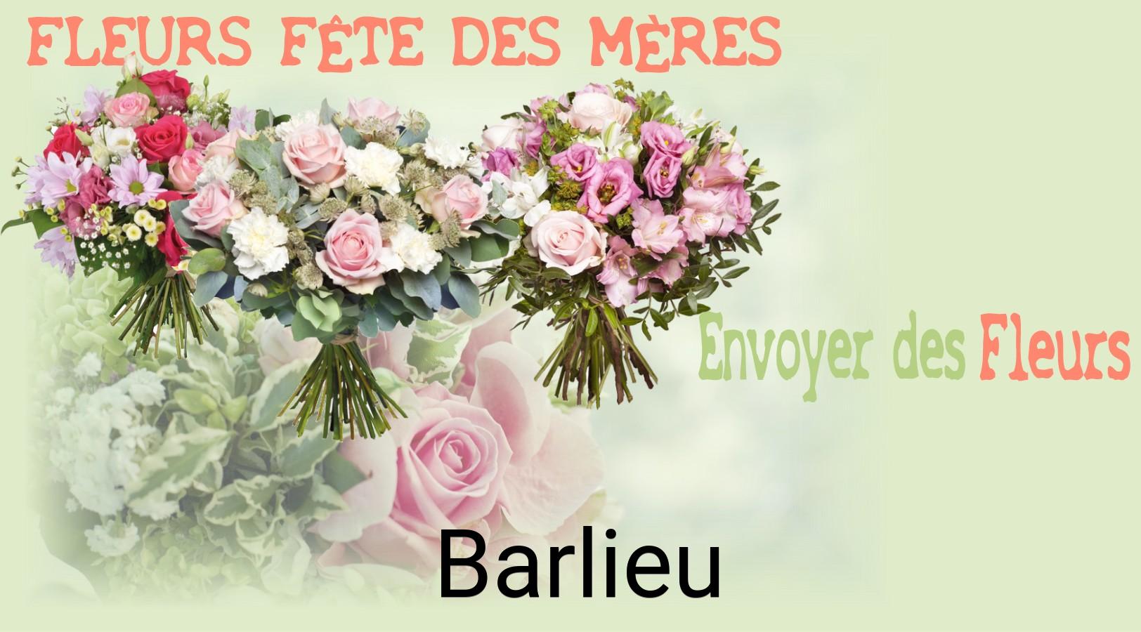 Bouquet de Fête des Mères livré à Barlieu